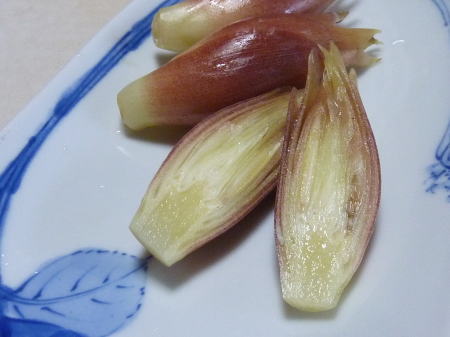 みょうがのイメージ