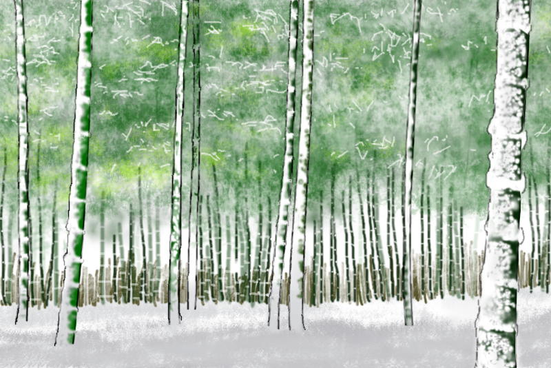 雪景色の竹林